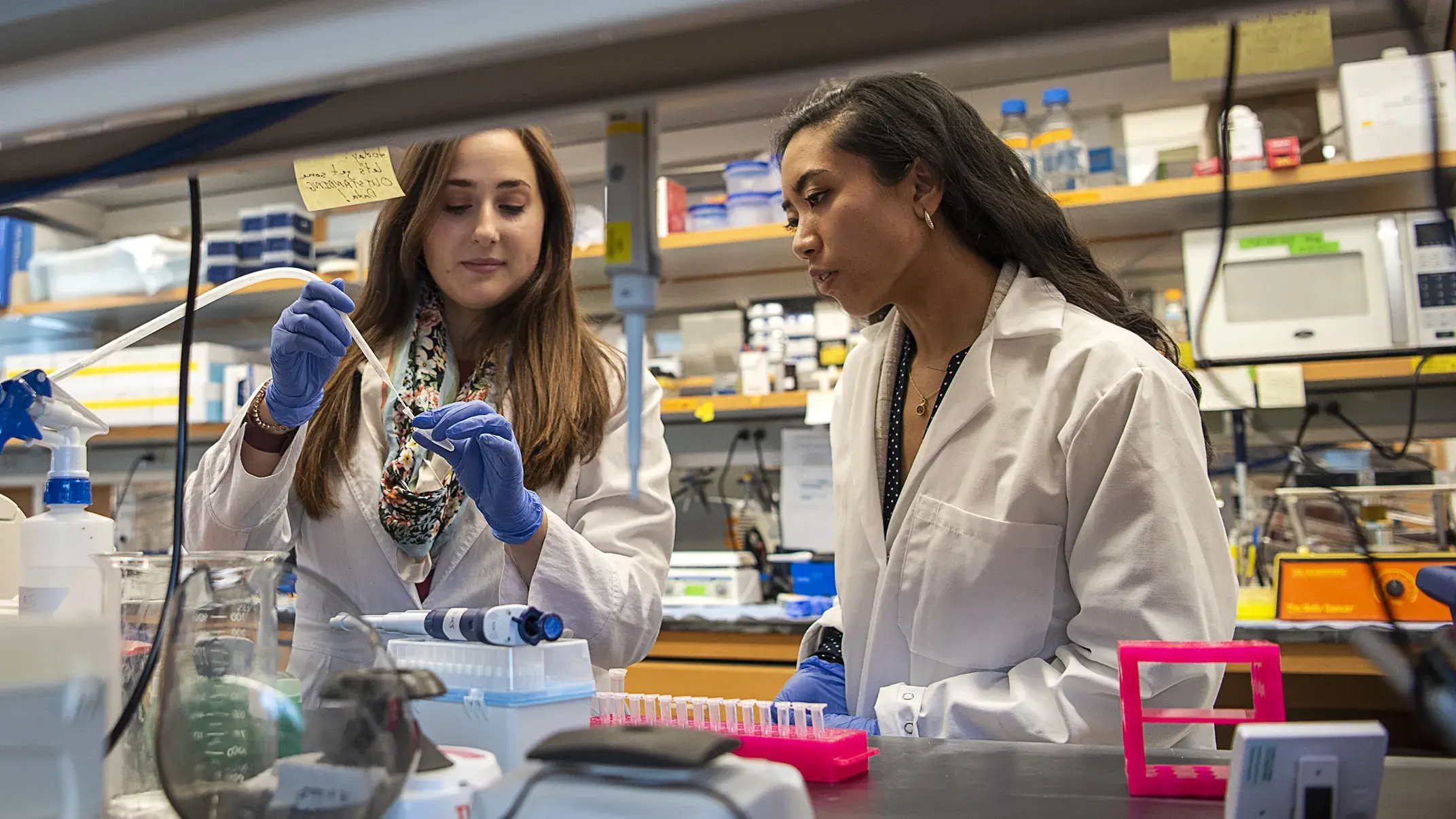 Two early career female scientists working in a lab