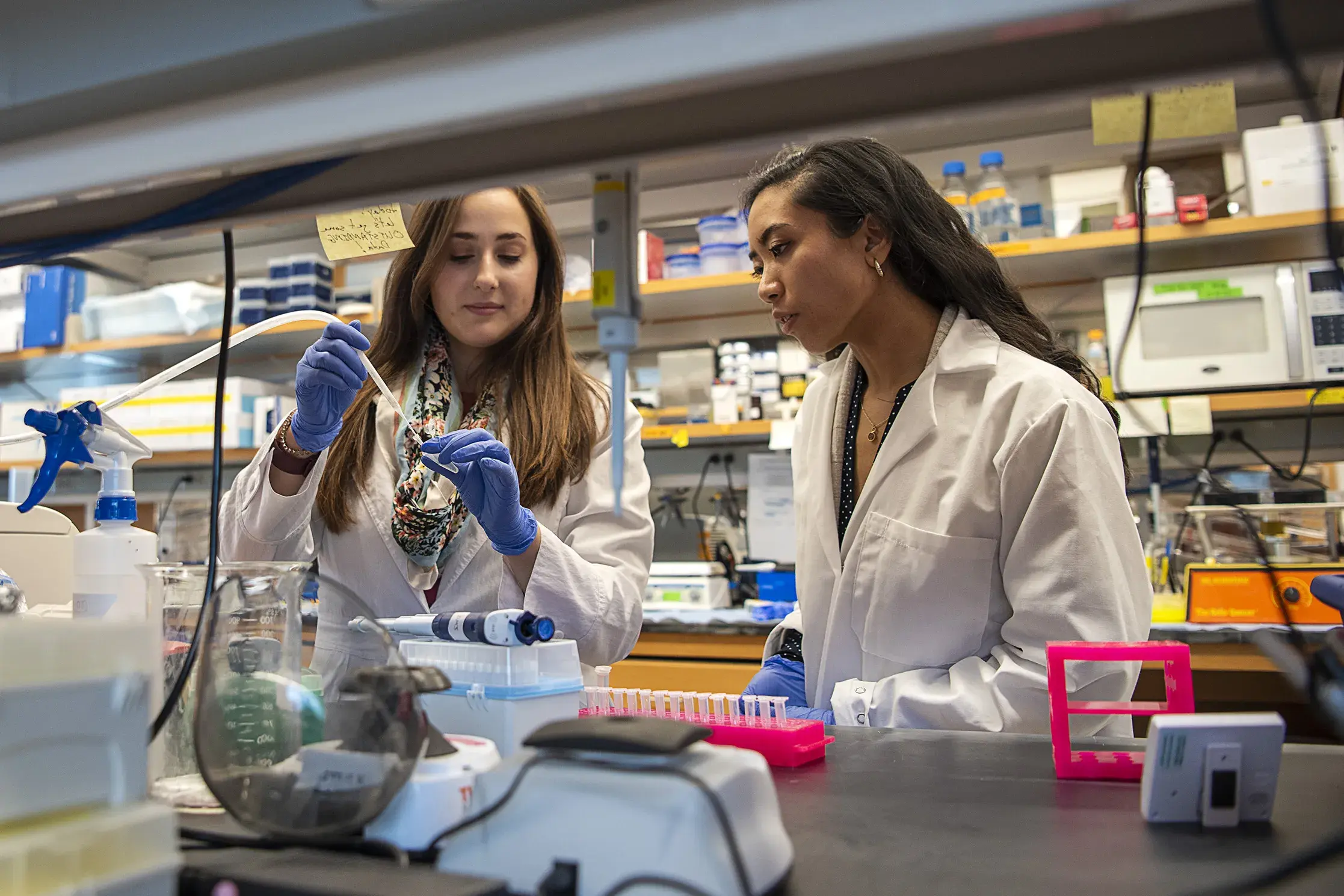 Two female scientists working in a lab