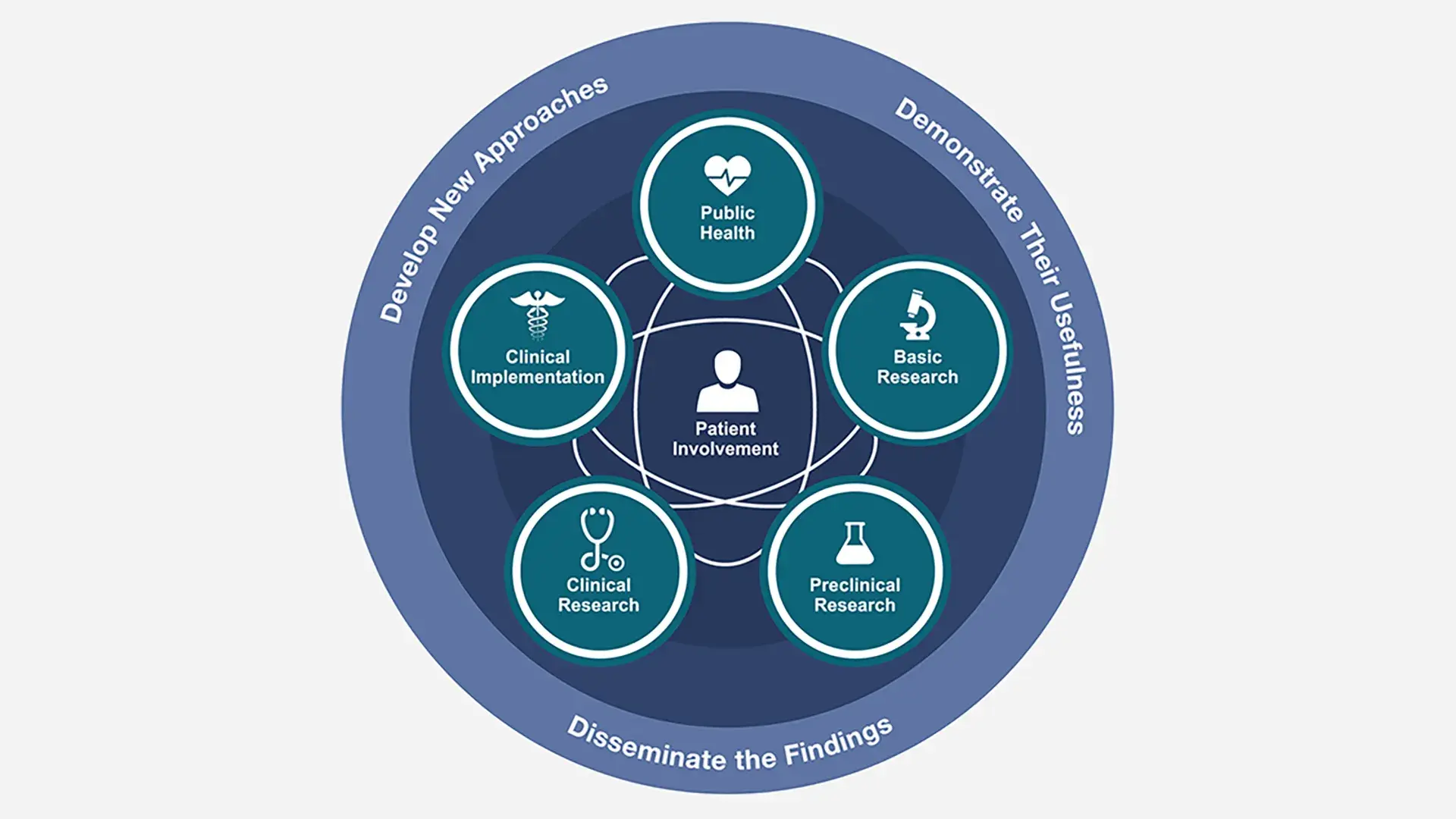 Diagram exhibiting the develop, demonstrate, disseminate process of translational science 