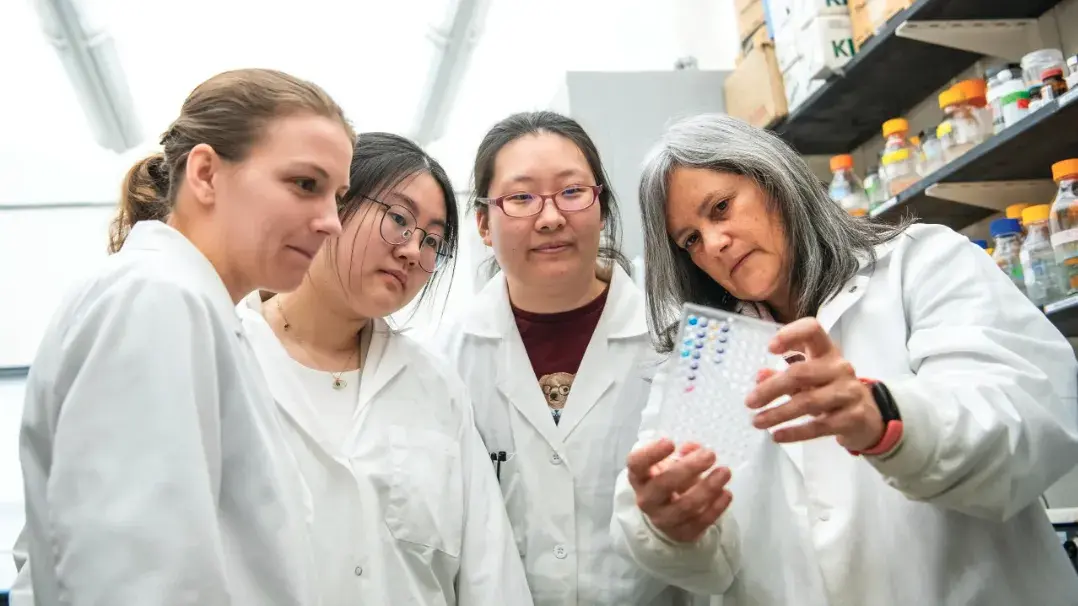 Monica Giusti, Distinguished Professor in Food Science and Technology within CFAES, in her lab with students, photographed for OSAM Summer 2023 story about faculty mentorship.