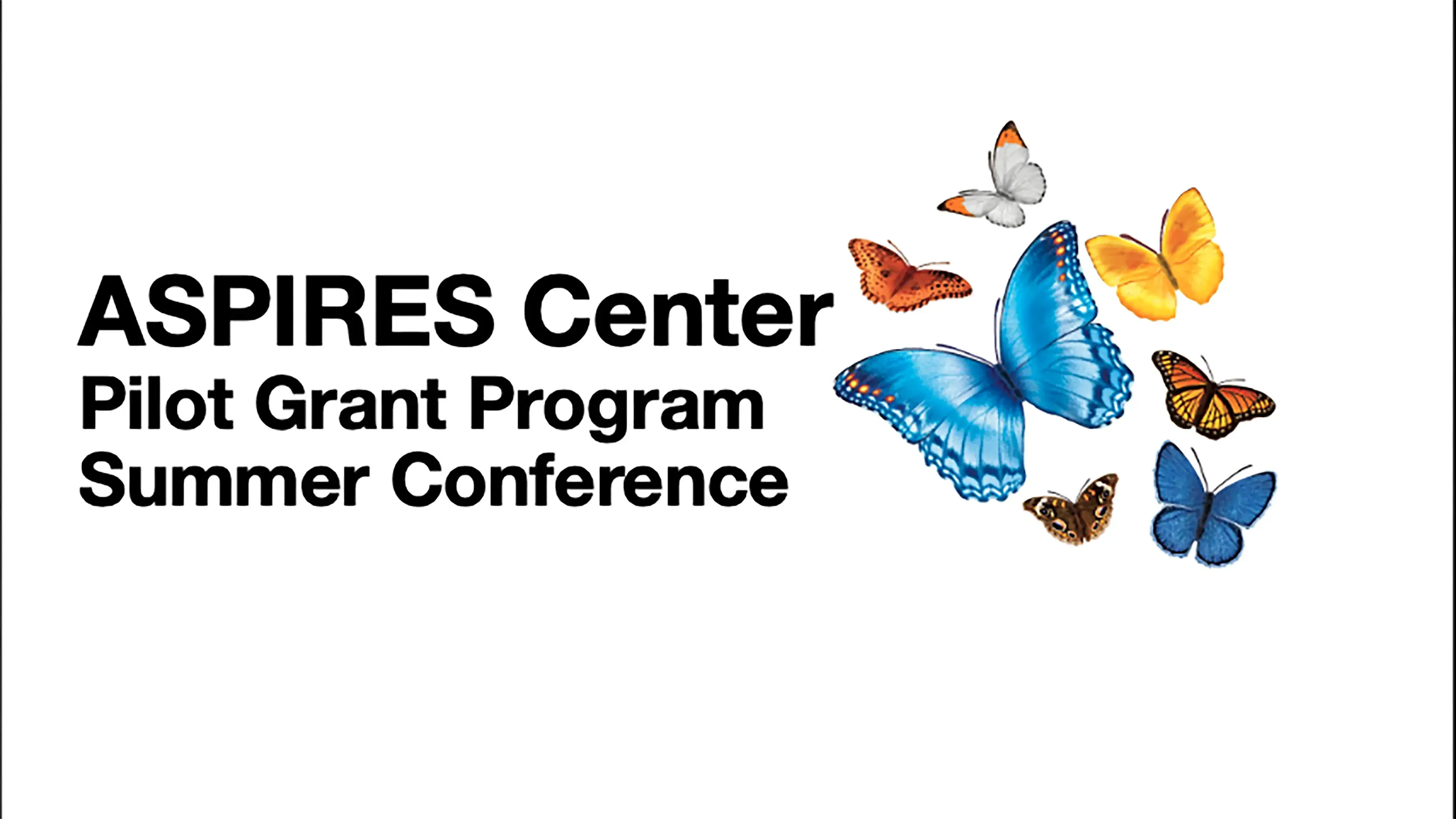 Aspires Center Pilot Grant Program Summer Conference